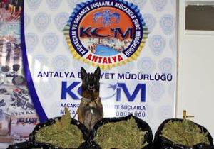32 kg esrar ele geçirildi